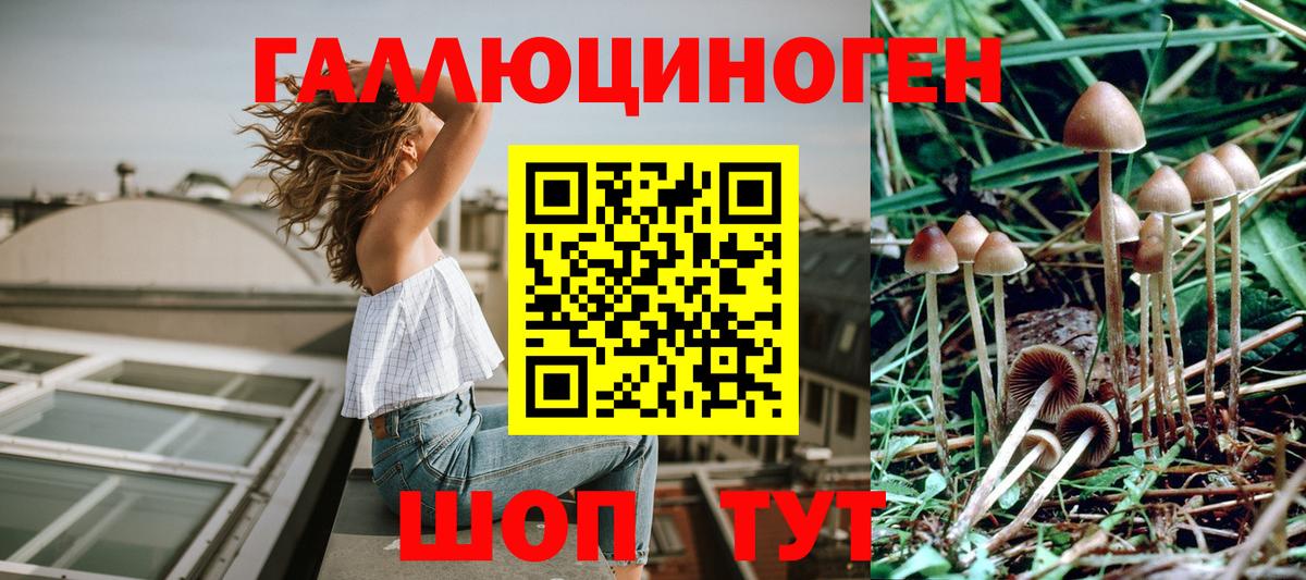 Москва  Псилоцибиновые грибы Psilocybine cubensis  Галлюциногенные грибы мухоморы  купить закладку  Вход с VPN 