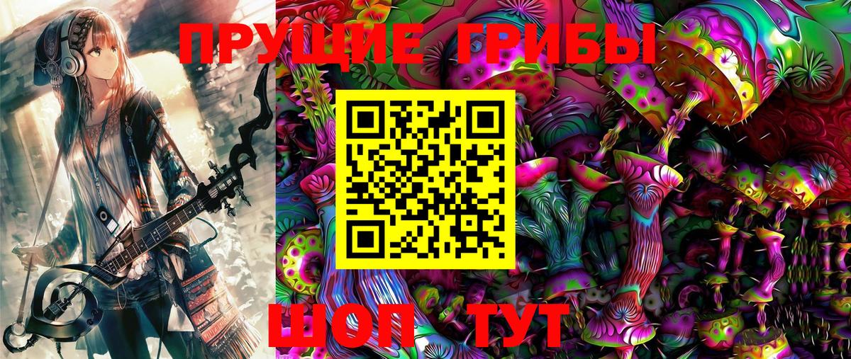 Псилоцибиновые грибы Cubensis Москва